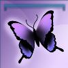 Purple butterfly powder