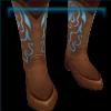 Ornate Western boots