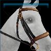 Classic Winter bridle