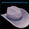 Frozen Western hat