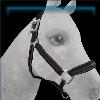 Black Faux-Leather Halter