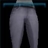 Silver sunset trails pants