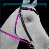 Pandorian Party Bridle