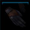 Gloves of the Accused