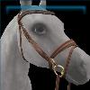 English Bridle in Chestnut and Gold