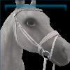 English Bridle in White and Silver