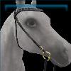 Golden Twilight Felicity Bridle