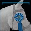 Sapphire Horse Ribbon
