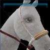 Trail Ride Bridle