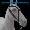 Twilight Silver Medallion Bridle