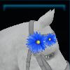 Mane flower for the horse
