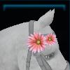 Mane flower for the horse
