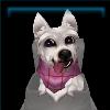 Premier Pink Puppy