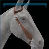 Canadian Tuxedo Western bridle