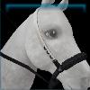 Americana Summer bosal