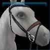 Runologist Druid English bridle