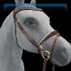 Ivory Sun gold flash noseband bridle