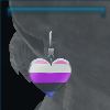 Pride earrings