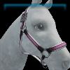 Bobcats pink halter