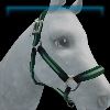 Jade green Rex Stamper halter