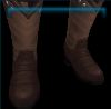 Western boots in brown