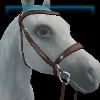Autumn Leaves English bridle