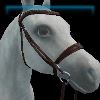 Cinnamon Bliss English bridle