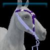 GH_BridleMedieval_Round_26_Name