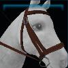 Halter reins 52