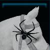 Spider Brooch