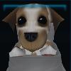Brave crossbreed puppy