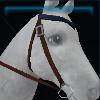 Two-toned western bridle