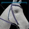 Summer western bridle