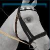 Moorland Set - bridle