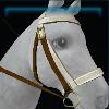 Herman's old bridle