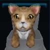 Toyger
