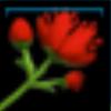 RedHerb_Name
