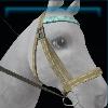 Kalltic beginner's bridle