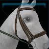 Green Winter bridle