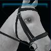 Black wilderness bridle