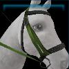 Green adventure bridle