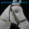 Pitch black bridle