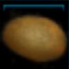 Potato