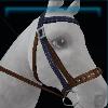 Trendy western bridle