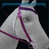 Vineyard western bridle