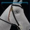 Brown and black Jorvik western bridle