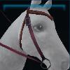 Cerise equestrian western bridle