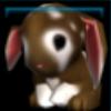 Baby bunny