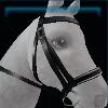 Black governor bridle