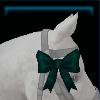 Head ribbon for the horse
